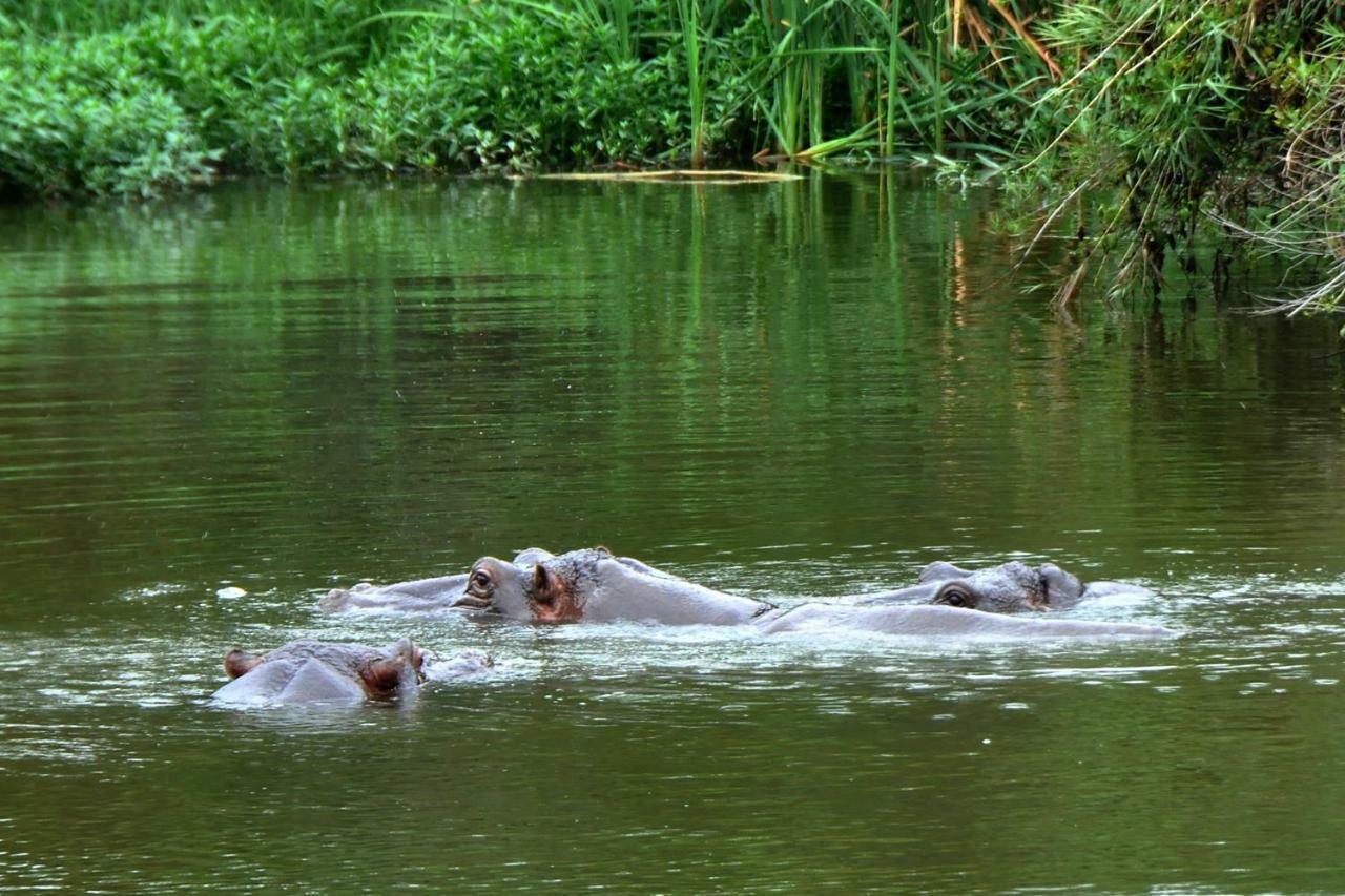 Kruger Park Lodge Unit No. 612 Hazyview Luaran gambar